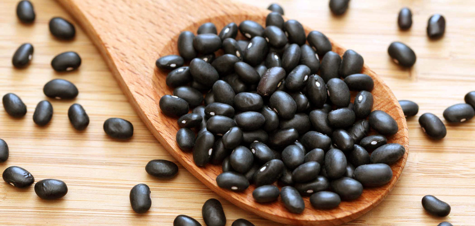 Learn how Black Beans are Nutritious