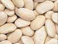 Provide an example of Great Northern Beans.