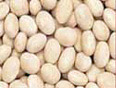 Provide an example of navy beans.