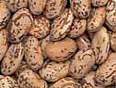 Provide an example of pinto beans.