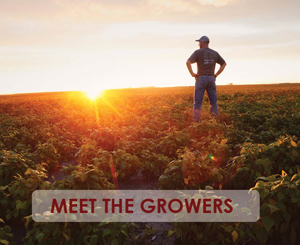 Find out how beans are grown and harvested.
