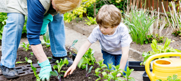 An image depicting a child learning to garden